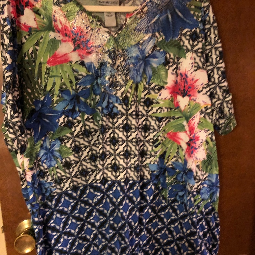 Catherine’s 3x blue blouse